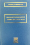 Neoconstitucionalismo y Derechos Colectivos vignette