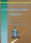 Derecho Electoral Positivo vignette