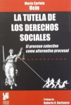 La tutela de los derechos sociales vignette