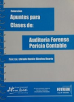 Auditoría forense pericia contable vignette