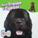 Razas Grandes y Gigantes vignette