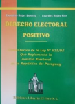 Derecho Electoral Positivo vignette