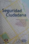 Seguridad ciudadana vignette