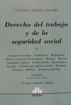 Derecho del trabajo y de la seguridad social vignette